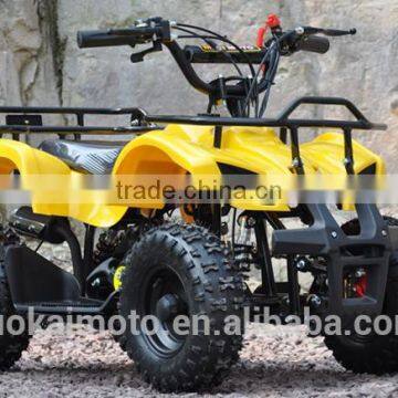 Cool Cheap 49cc 2-stroke Kids Quad Bike for Sale (TKA50-2) photo-6