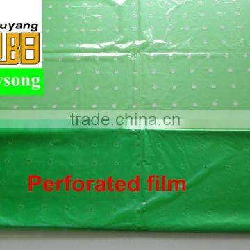 Blow Molding LDPE Plastic Tomato Perforated Yellow Tube Film