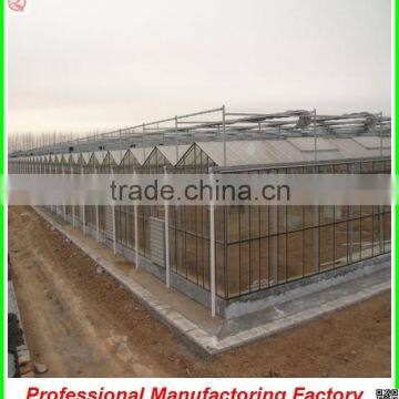 Large Muti-span Polycarbonate Sheet Greenhouse With Irrigation System photo-6