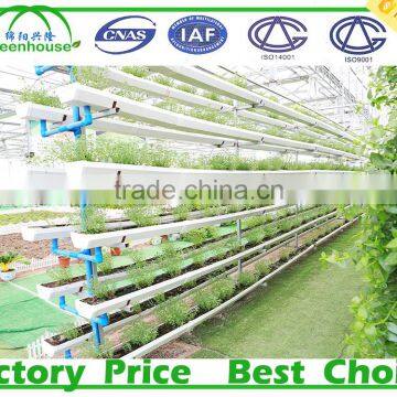Agriculture Plastic Large Multi Span Commercial Greenhouse for Sale photo-5