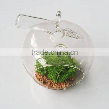 Artificial Plastic Mini Succulents Plants for Home Decoration photo-6