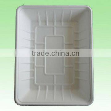 Sugar Cane Pulp Tray/biodegradable Tray