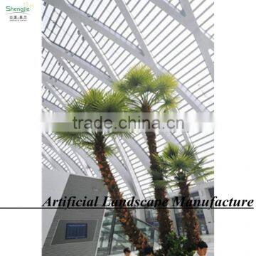 Huge Indoor Ornament Palm Trees Wholesale Fake Palm Tree photo-5