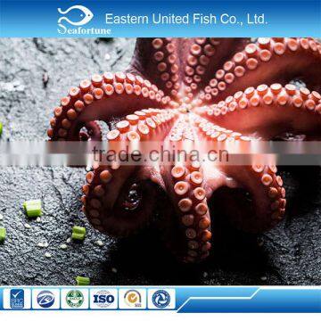 seafood frozen frozen raw octopus whole for Korea market