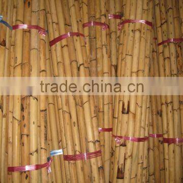 Manau Cane, Manau, Manao, Rattan Pole, Pole, Rattan, Cane, Rattan Cane, Cricket Cane, Singapore Cane, Manao Cane, Manao Pole photo-5