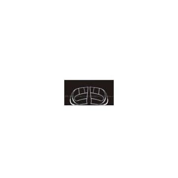 Tail Lamp Cover-Ford Focus
