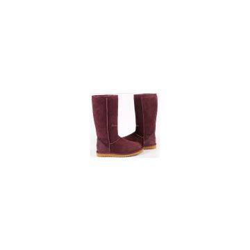 2010 new style UGG Women's Classic Tall boots, 5815,purple,size 7.5