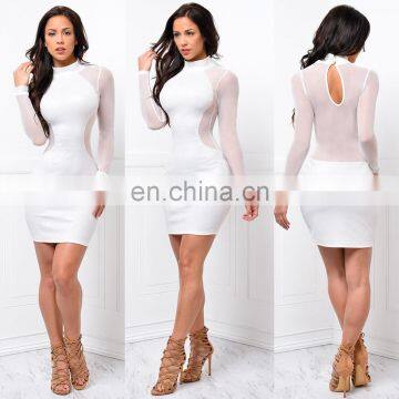 Europe And America Long Sleeve Grenadine Sexy Perspectivity Package Hip One-Piece Dress