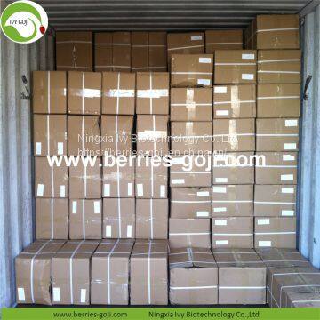 Factory For Sale Dried Conventional Goji Berry photo-5