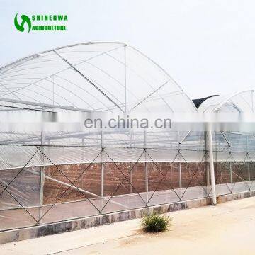 Commercial Multi Span Plastic Film Tunnel Greenhouse