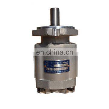 lowest price high pressure and high rotation speed gear oil pump CBTS-D310-AL1P1