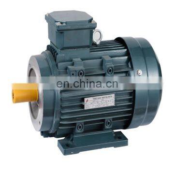 IEC Standard Y2 Three Phase Electric Water Pump Motor Price