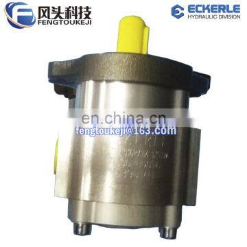 ECKERLE EIPS2-022RA04-12 S111 Gear Pump photo-5