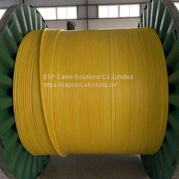 Downhole Sensor Cable photo-4