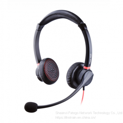 Hion H730D Наушники с двусторонними микрофонными элементами