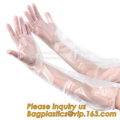 Household Cleaning, Eco- friendly, Biodegradable & Compostable, Medical Protective Disposable hand Gloves