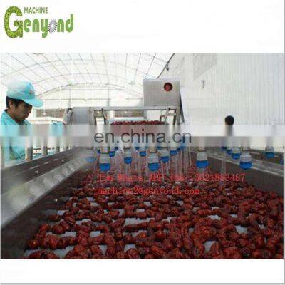 Automatic Dates Pitter Machine/Date Pitting Processing Machine/Date Seed Removing Machine photo-3