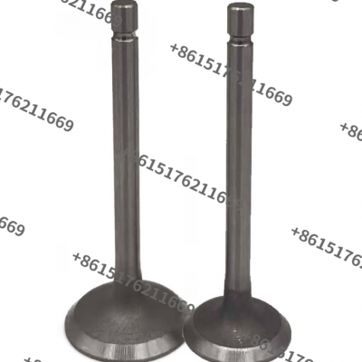 R175 S195 1100 1110 1115 Diesel Engine Valve