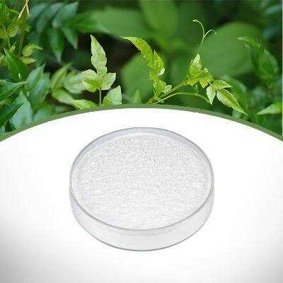 Vine Tea Extract