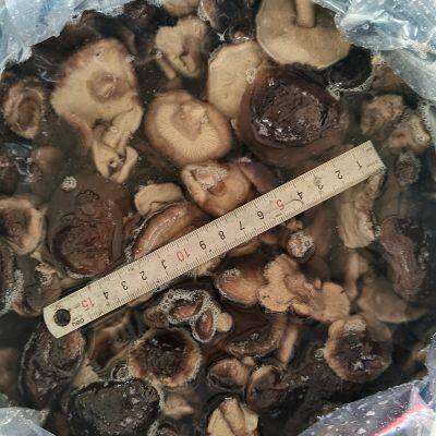 Shiitake in brine, brined mushrooms, edible fungi, 50% closed caps