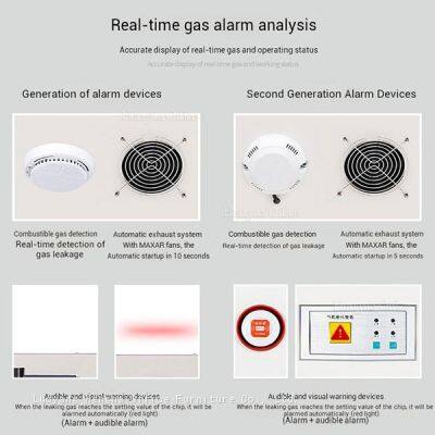 High Quality Laboratory Gas Cylinder Cabinet With Control Panel, Buzzer Alarm and Ventilation System for Manufacturing Plants photo-5