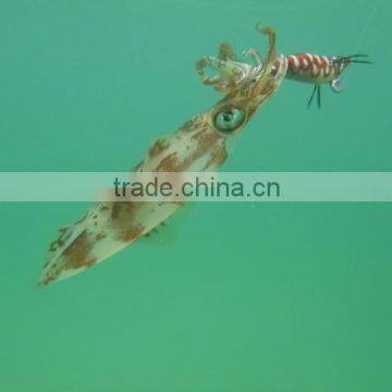 Factory Price Soft Luminous Squid Lure Soft Luminous Squid Lure photo-3