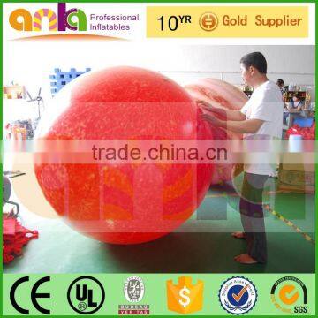 PVC Balloon Type Inflatable Cartoon Helium Balloon for Advertising photo-5
