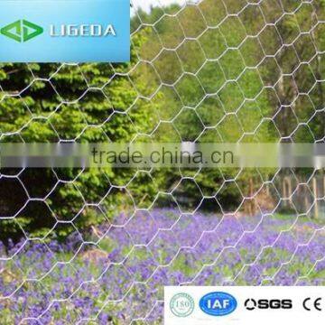 HOT! Best Manufaturing Hexagonal Wire Netting Suppliers photo-3