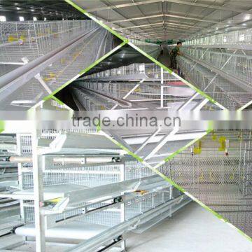 Used layer poulry chicken egg cages for kenya farms