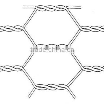 Hexagonal wire mesh/netting