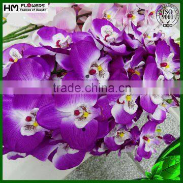 Dried Flowers Preserved Orchids Preserved Flowers