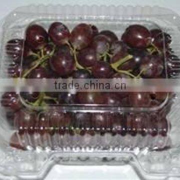 Factory price plastic transparent small box