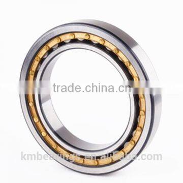 High quality low price\Cylindrical Roller Bearing rn309m