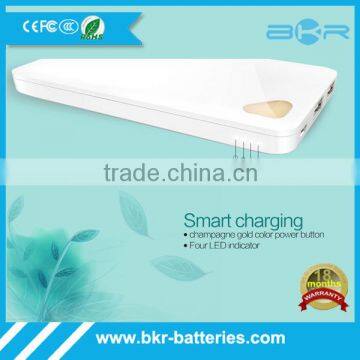 Quick Input and Output Power Bank Quick Charge 2.0 photo-6