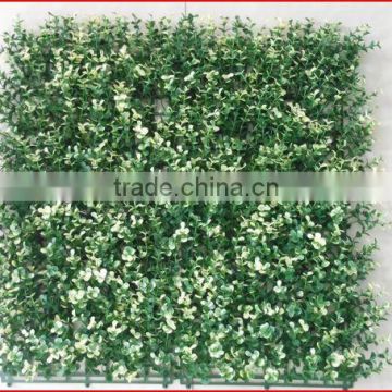 2013 China Artificial hedges garden fence gardening shrubs & hedges thuja