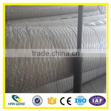 High quality Chicken wire mesh