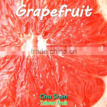 2016 Hot Sale Fresh Grapefruit photo-6
