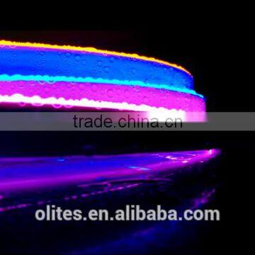 2016 New Product 8 Pixels per Meter Swimming Pool Ultra Bright Led Strip Lighting photo-2