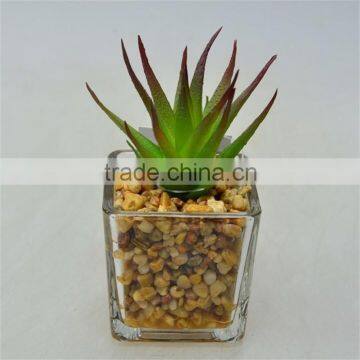 Best Selling Products Interior Decoration Artificial Plant with Little Glass pot