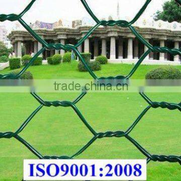 pvc hexagonal green plastic wire netting