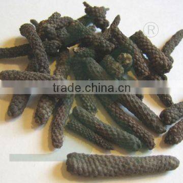 LONG PEPPER