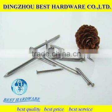 polished bright long common round nails
