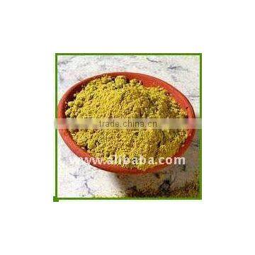 Coriander Powder