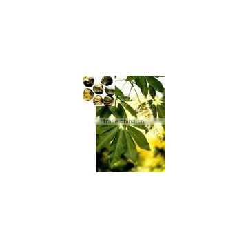 Horse Chestnut Extract