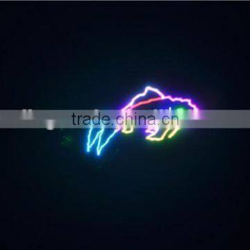 5W RGB Animation DJ Disco Laser Show System photo-4