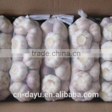 2016 Fresh Garlic Supplier photo-5