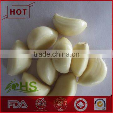 Hot natural fresh organic white garlic