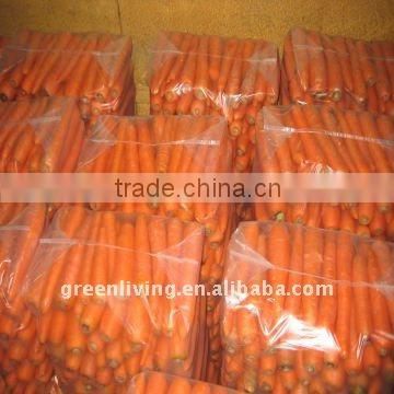 Carrot price 2014 in china