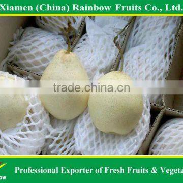 Fresh Sweet Chinese Pear