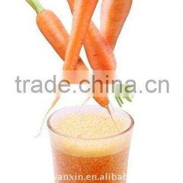 china fresh carrot